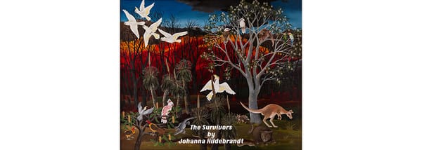 Johanna Hildebrandt Series: The Survivors