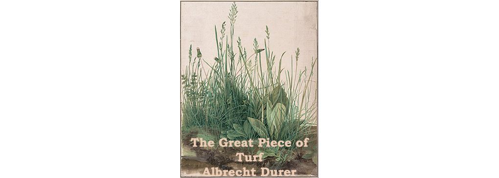 the great piece of turf
